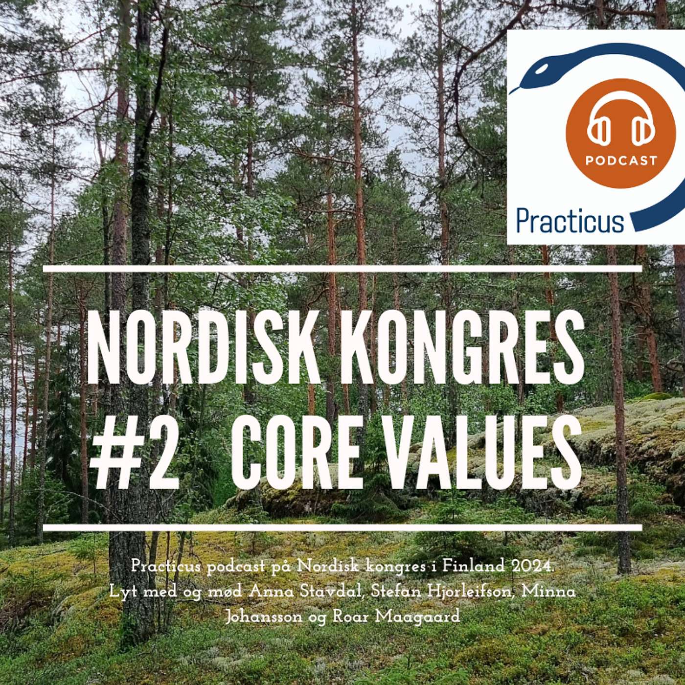 Practicus Podcast