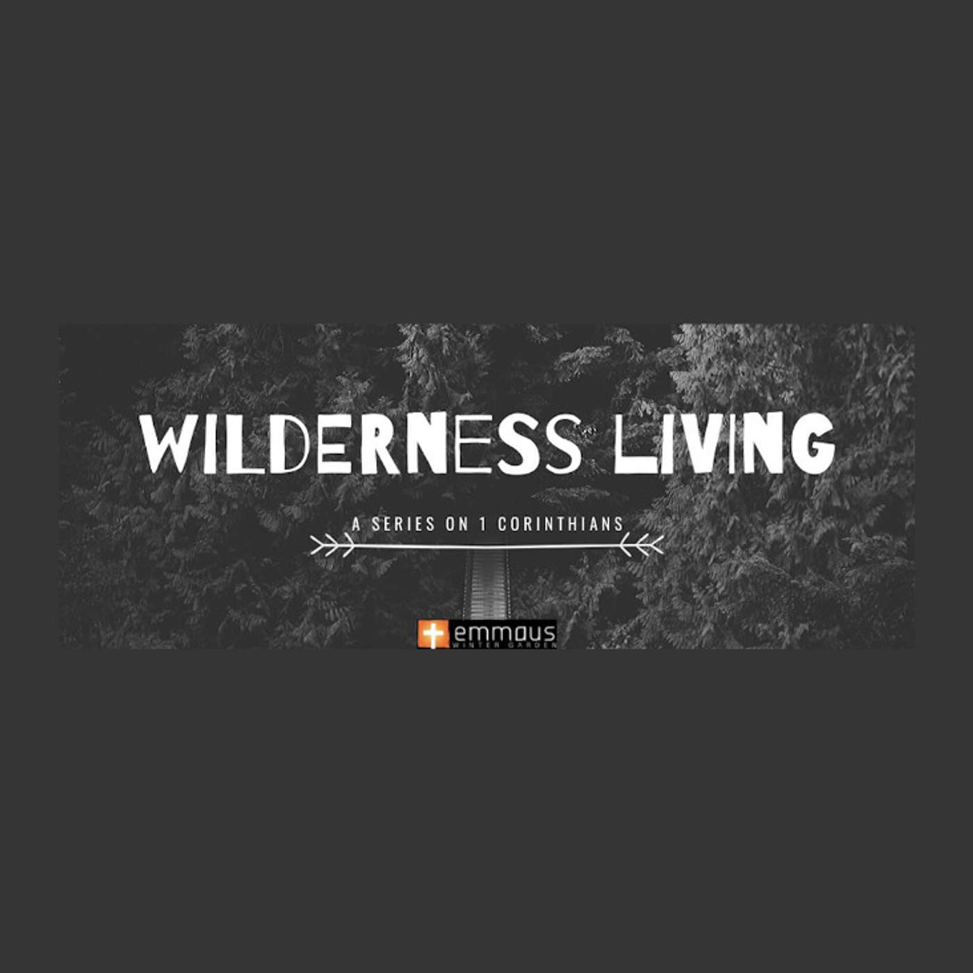 Wilderness Living: The Depths of God​