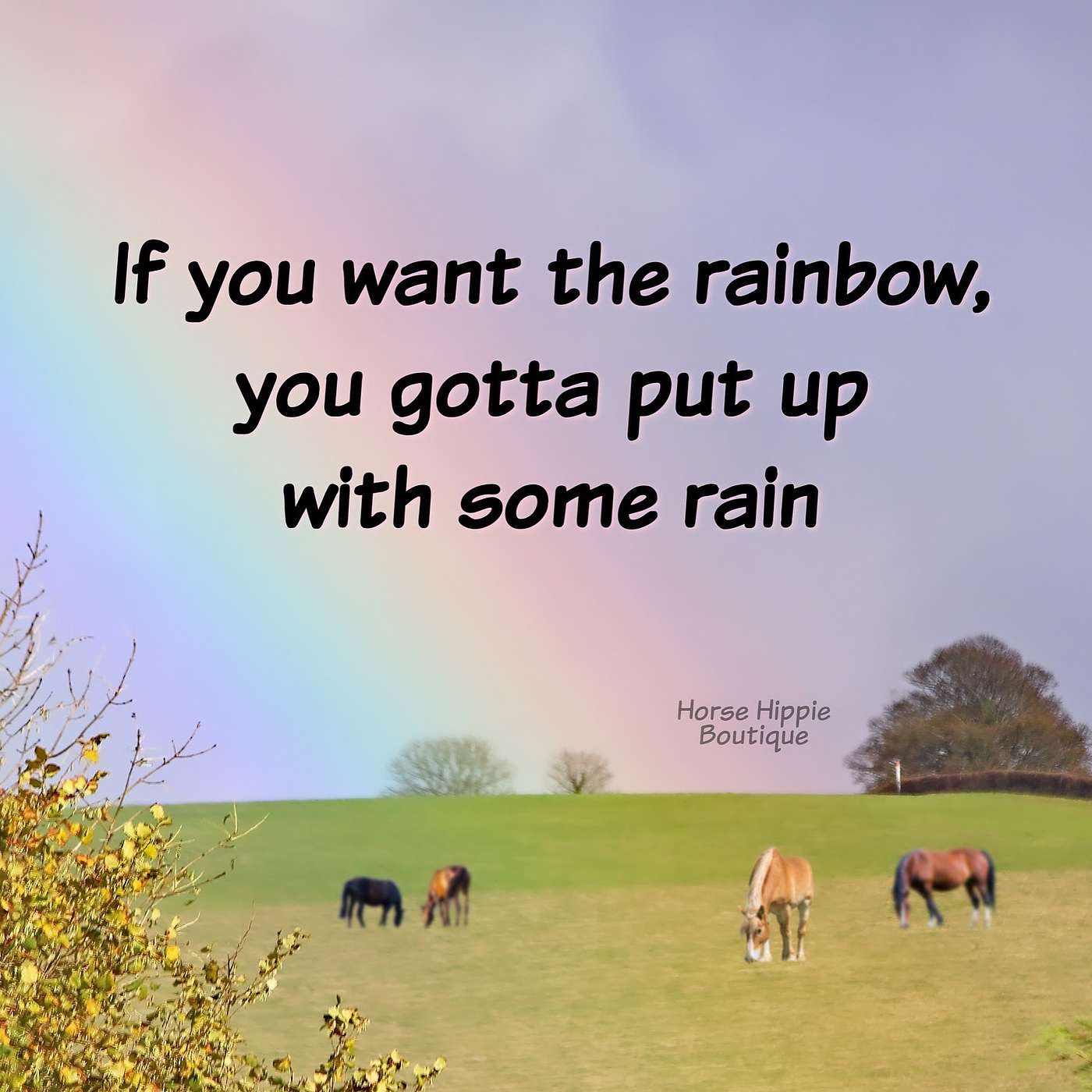 Rainbows episode artwork