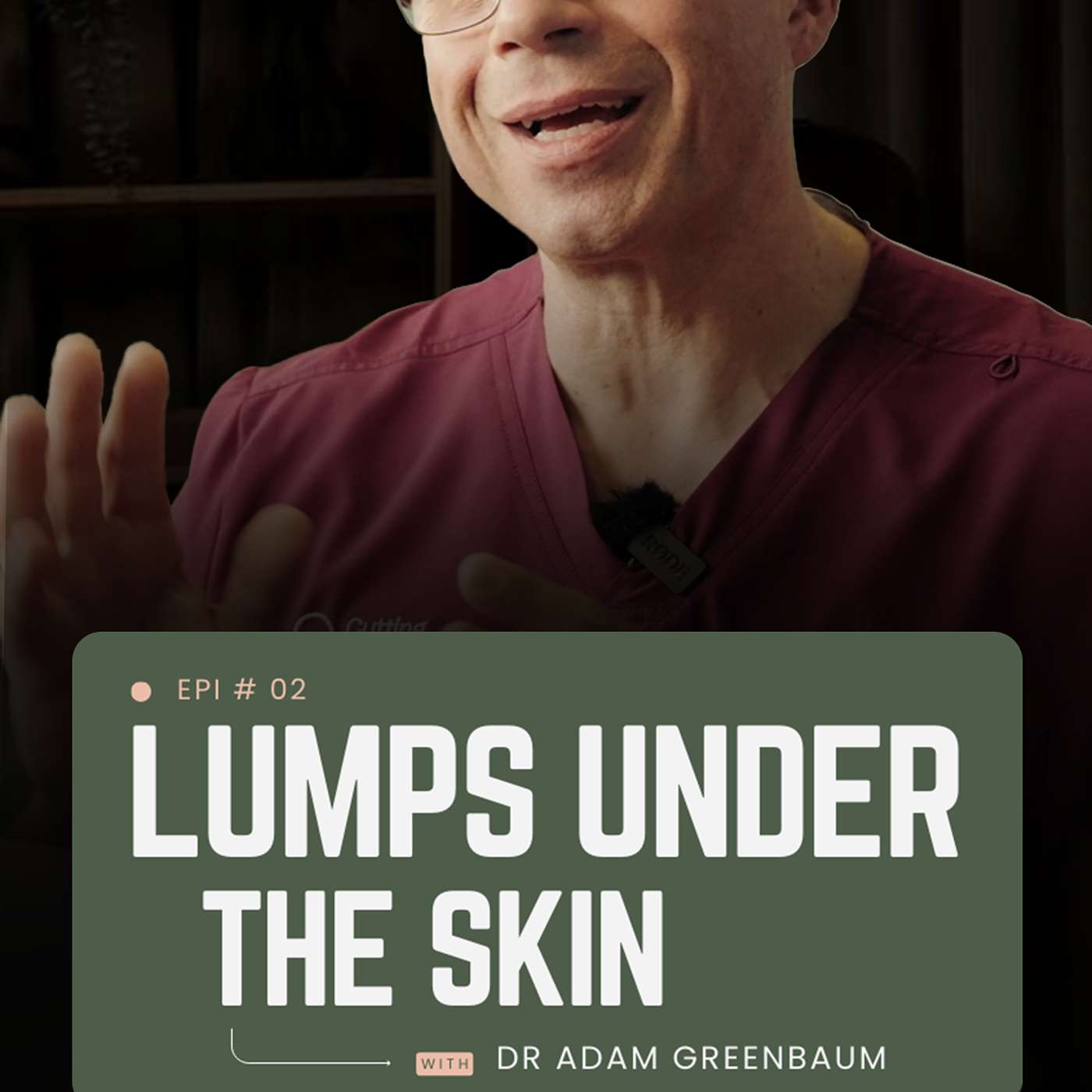 Lipoma - Lumps Under The Skin episode artwork
