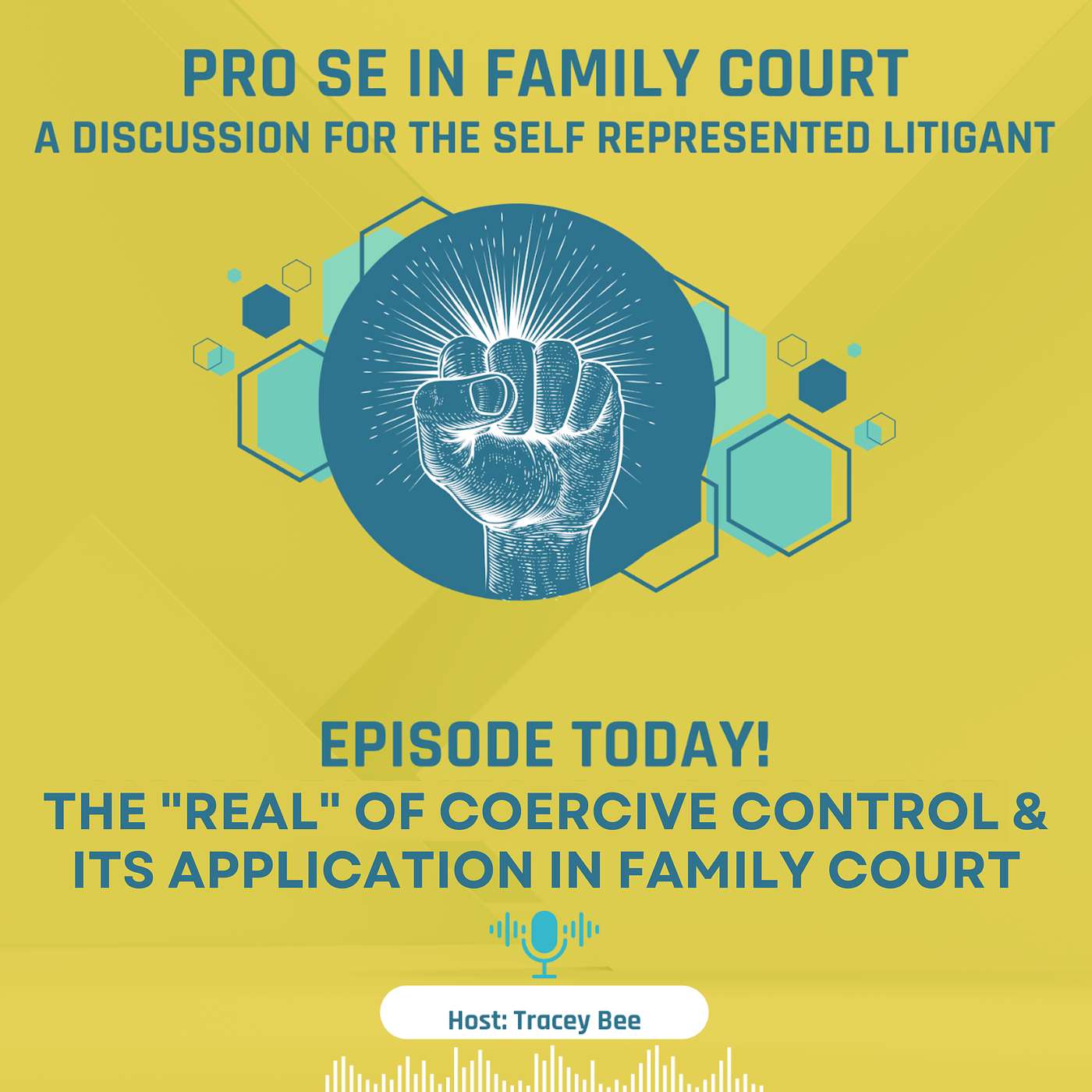 Season 2 - Episode 6: The "Real" of Coercive Control & Its Application in Family Court