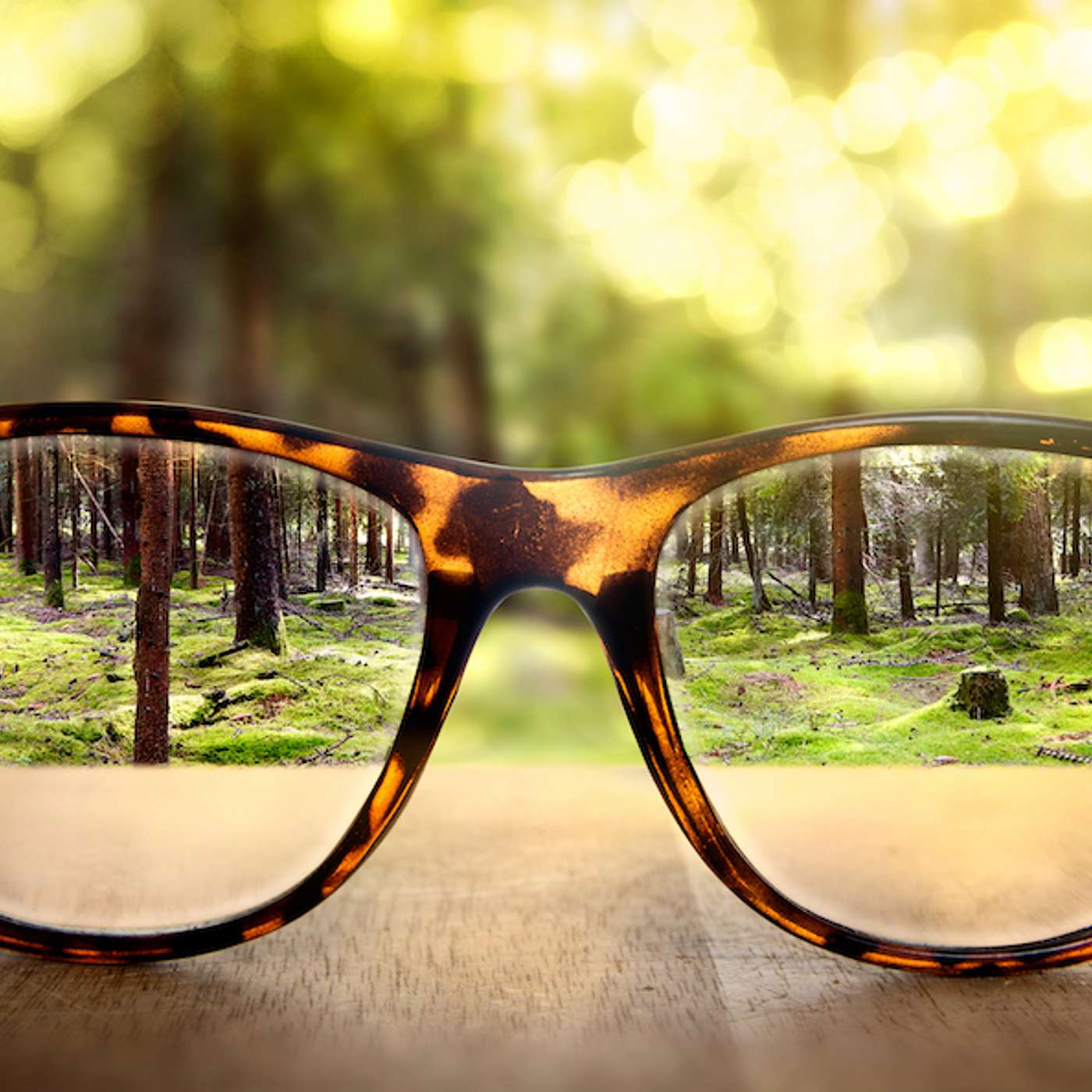 Episode 311 - The Most Valuable Lenses You Will Ever Own.