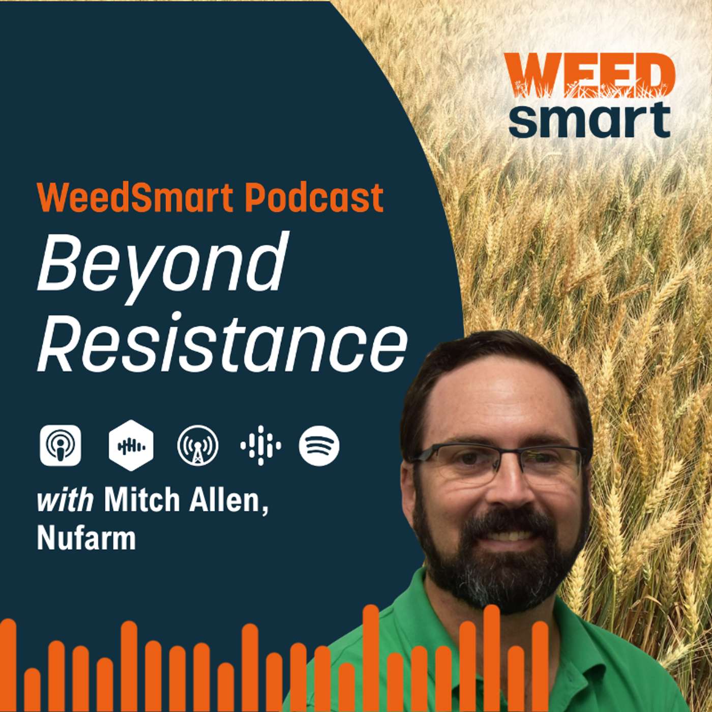 Beyond Resistance - Facing the Knockdown Challenge with Mitch Allen