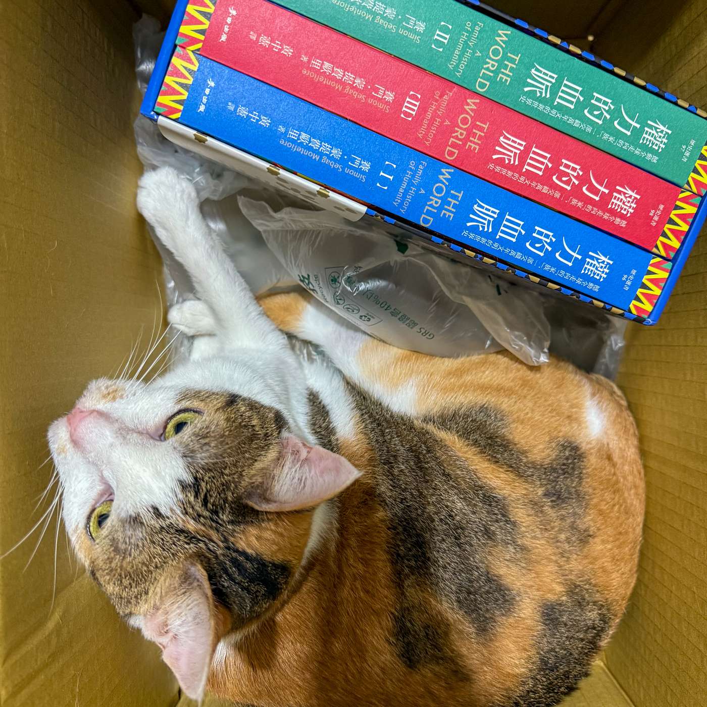 【書中自有黃金鮑EP109】公與私之間的選擇，一部家族視角下的權力通史：《權力的血脈》