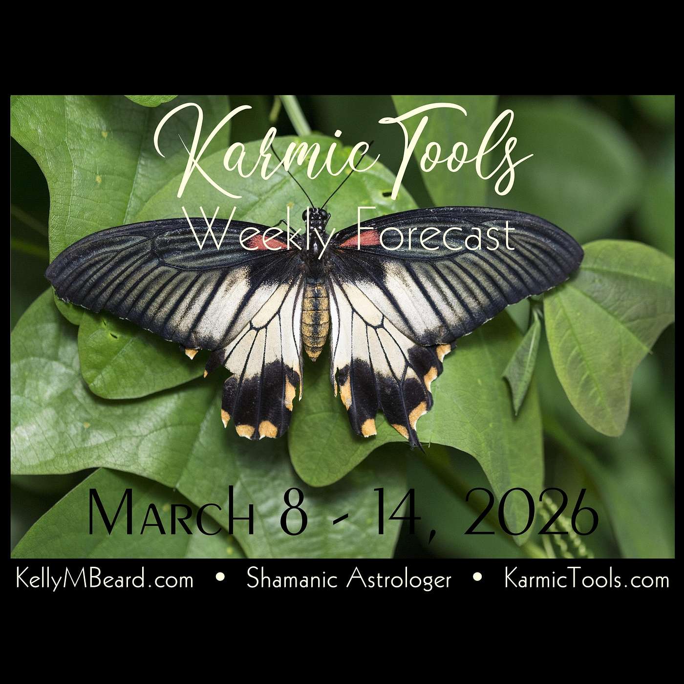 March 8 – 14, 2026 • KarmicTools Weekly Forecast • Event March 8 – 14, 2026 • KarmicTools Weekly Forecast • Event