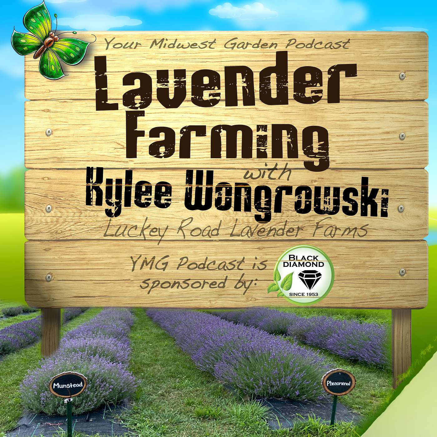 All about Lavender Farming