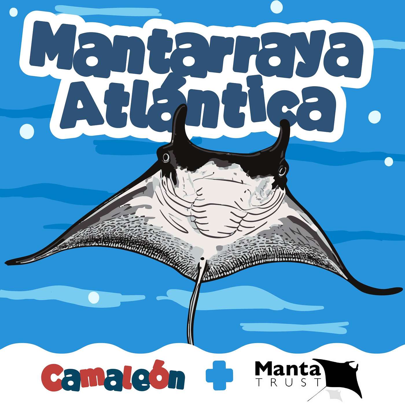 Mantarrayas: Las bailarinas gigantes del océano 🌊 episode artwork