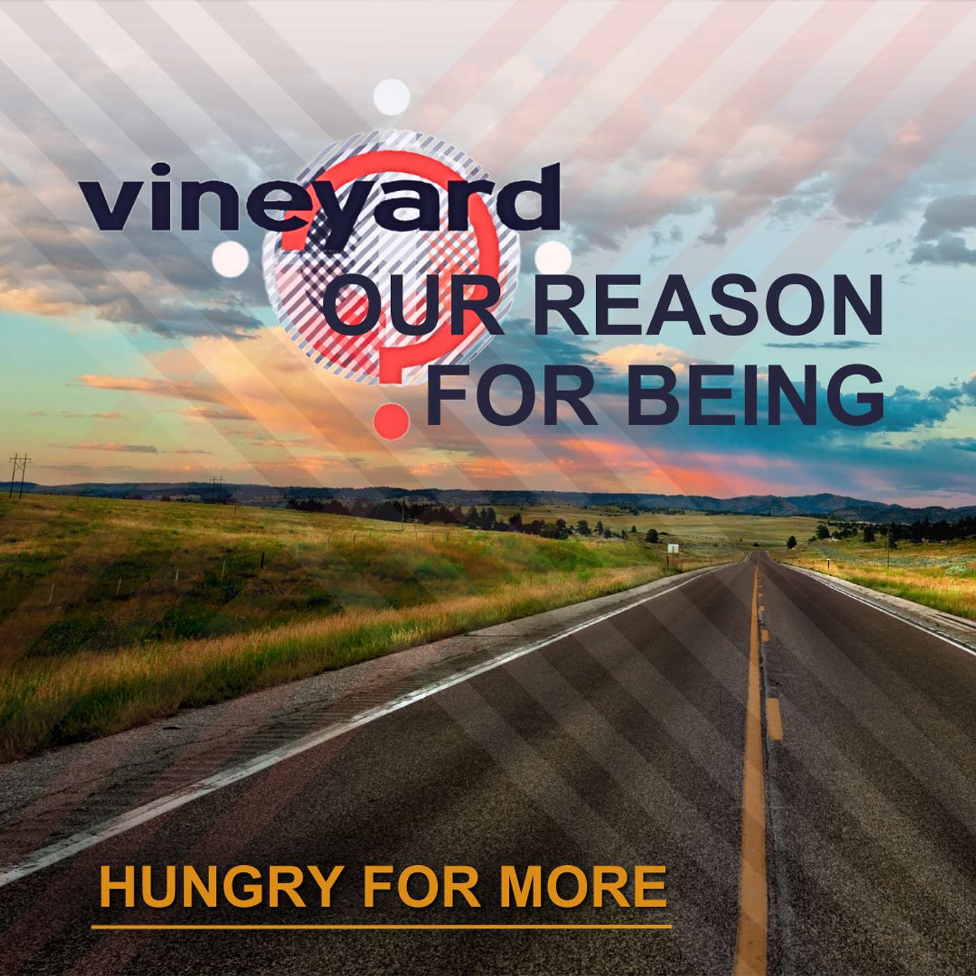Vineyard - Our Reason for Being ~ Scott Roe