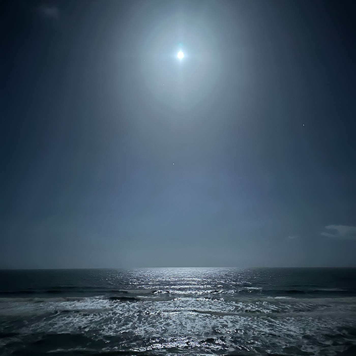 Creatures of the Wind