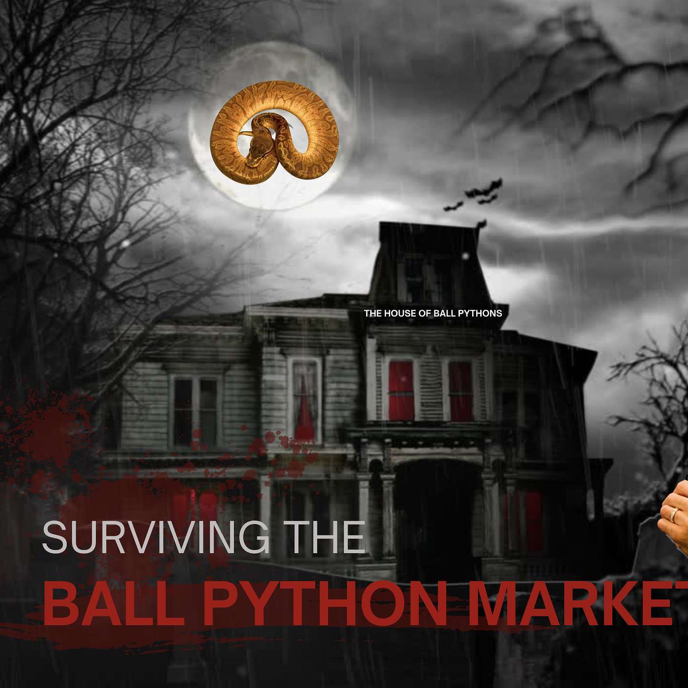 HOW TO SURVIVE THE BALL PYTHON MARKET IN 2025 | TRAP TALK W/ MJ LIVE