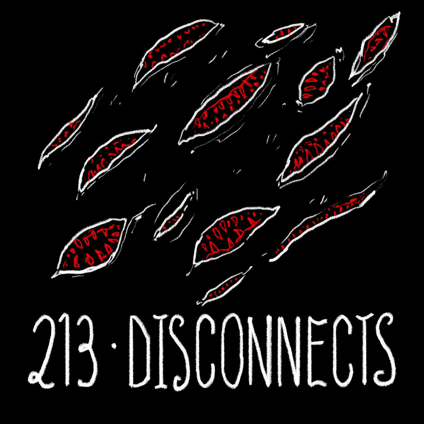  - Episode 213 - Disconnects
