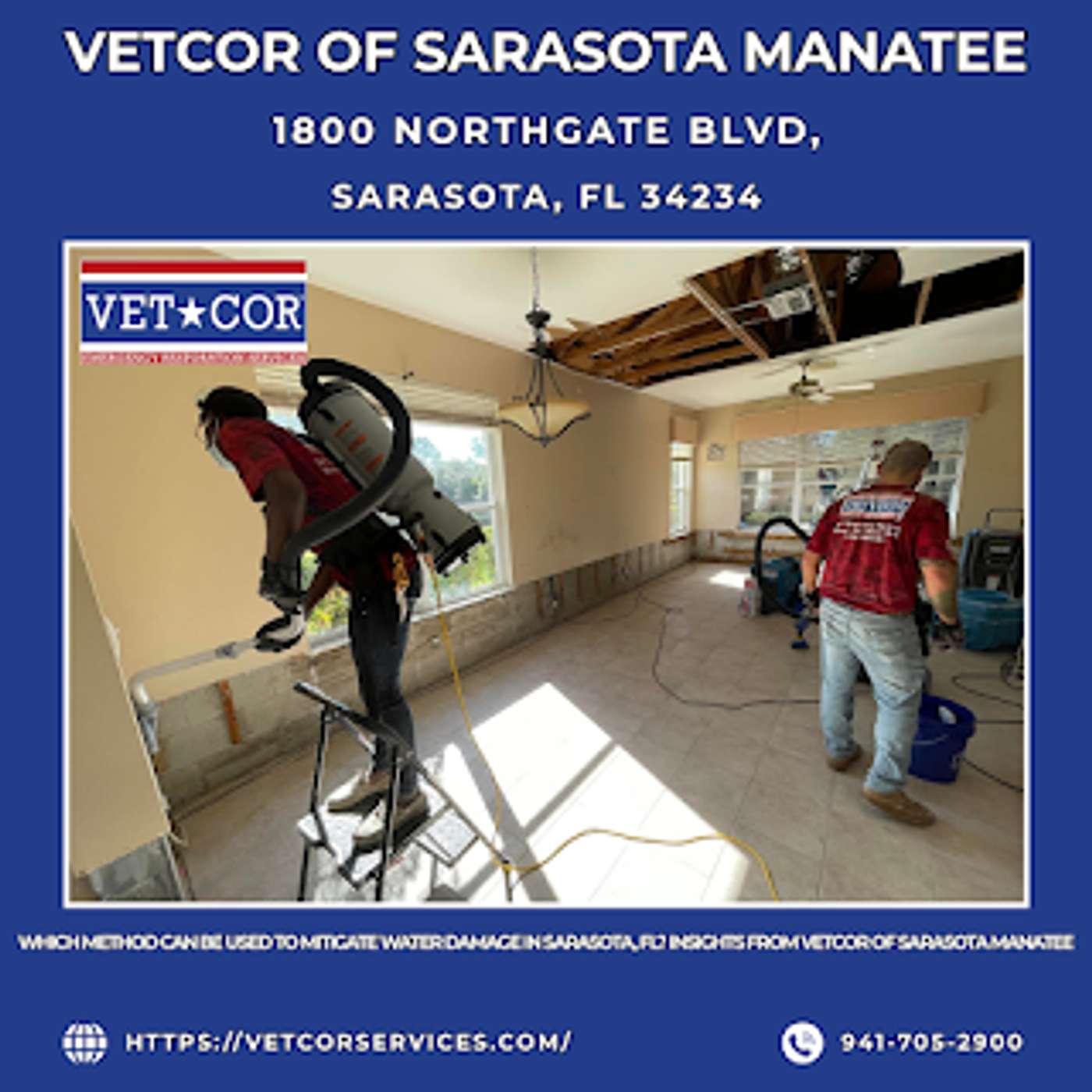 VetCor of Sarasota Manatee