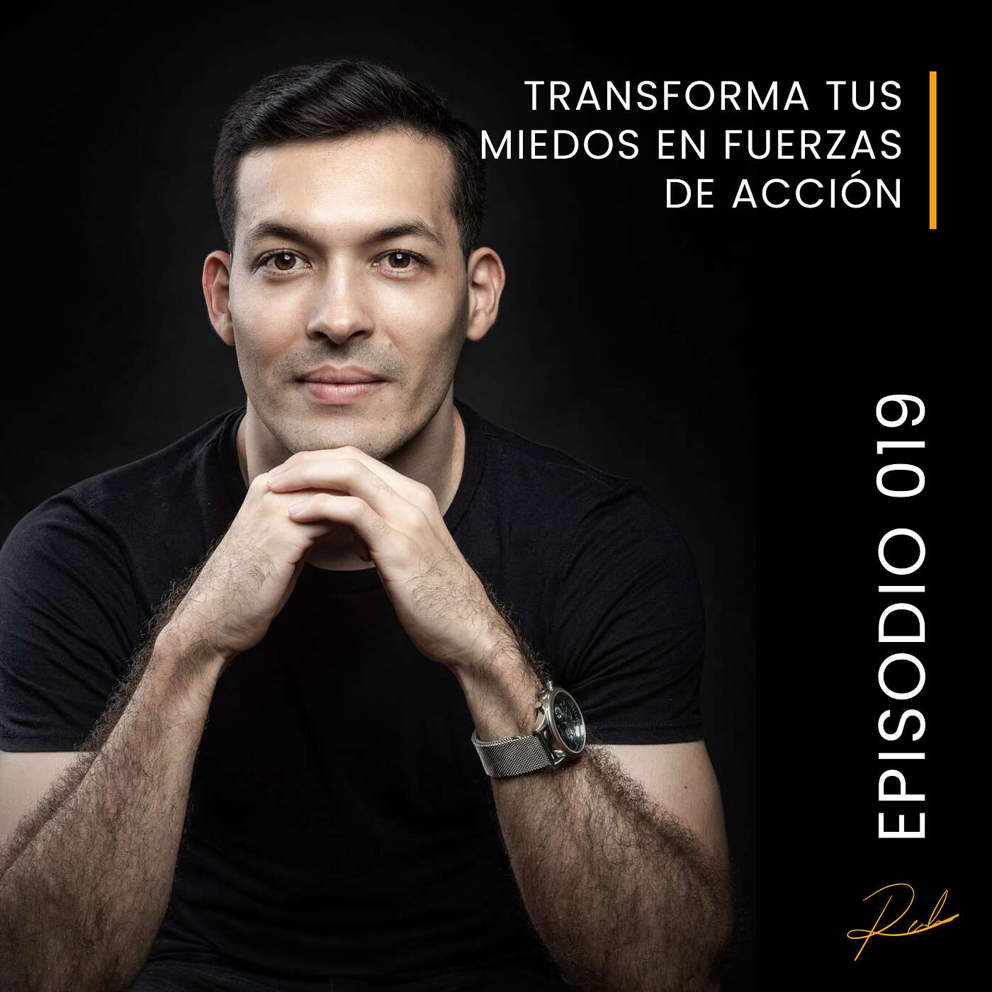 Ricardo Elizondo - Minimalismo Empresarial