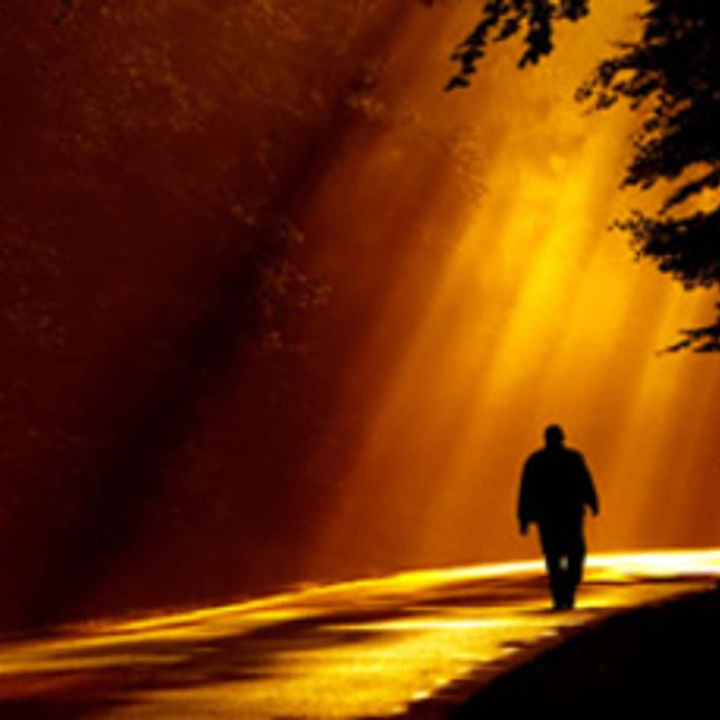 Episode 366 - The Golden Path in Life