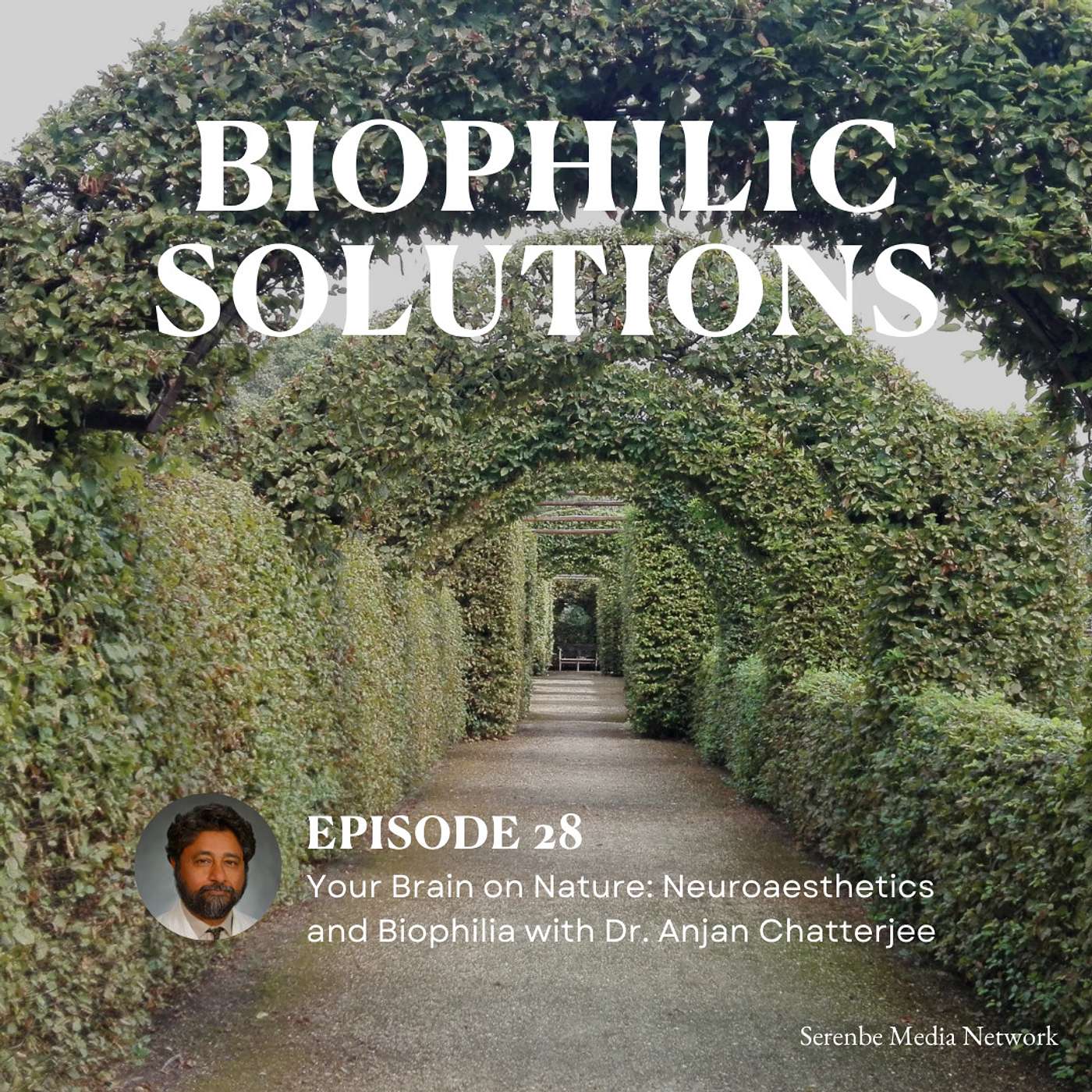 Your Brain on Nature: Neuroaesthetics and Biophilia with Dr. Anjan Chatterjee