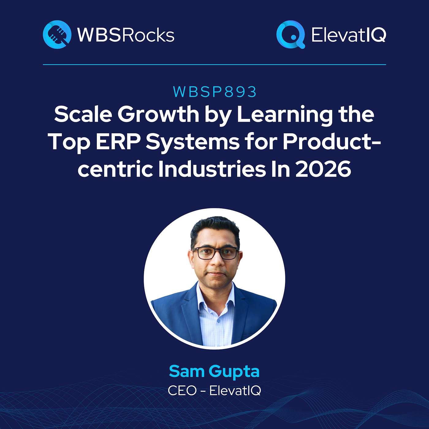 WBSRocks: Scaling Growth with AI, Enterprise Software, and Digital Transformation