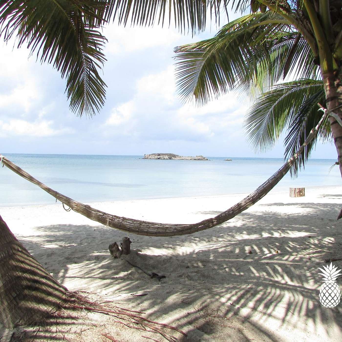 American Airlines Expands Caribbean Presence with New Flights to La Romana, Dominican Republic episode artwork