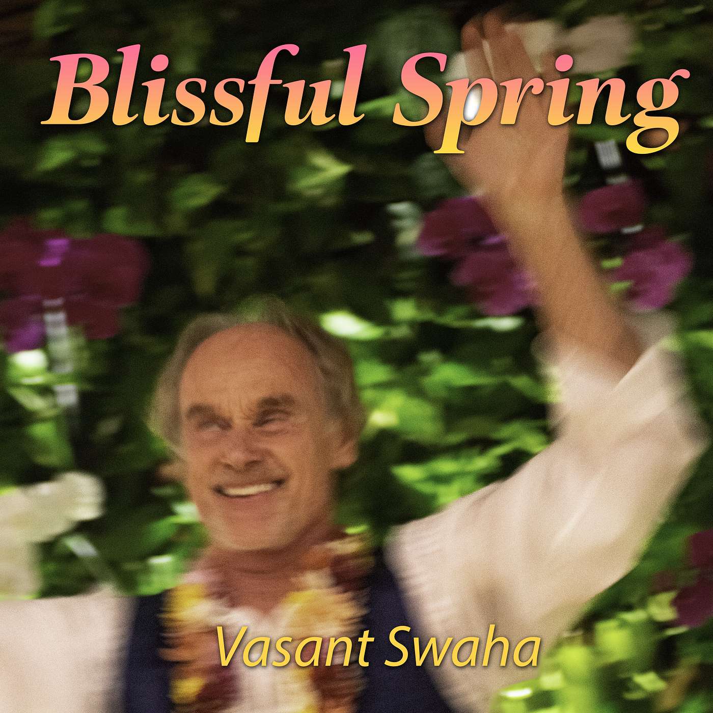 Satsang with Swaha - Audio