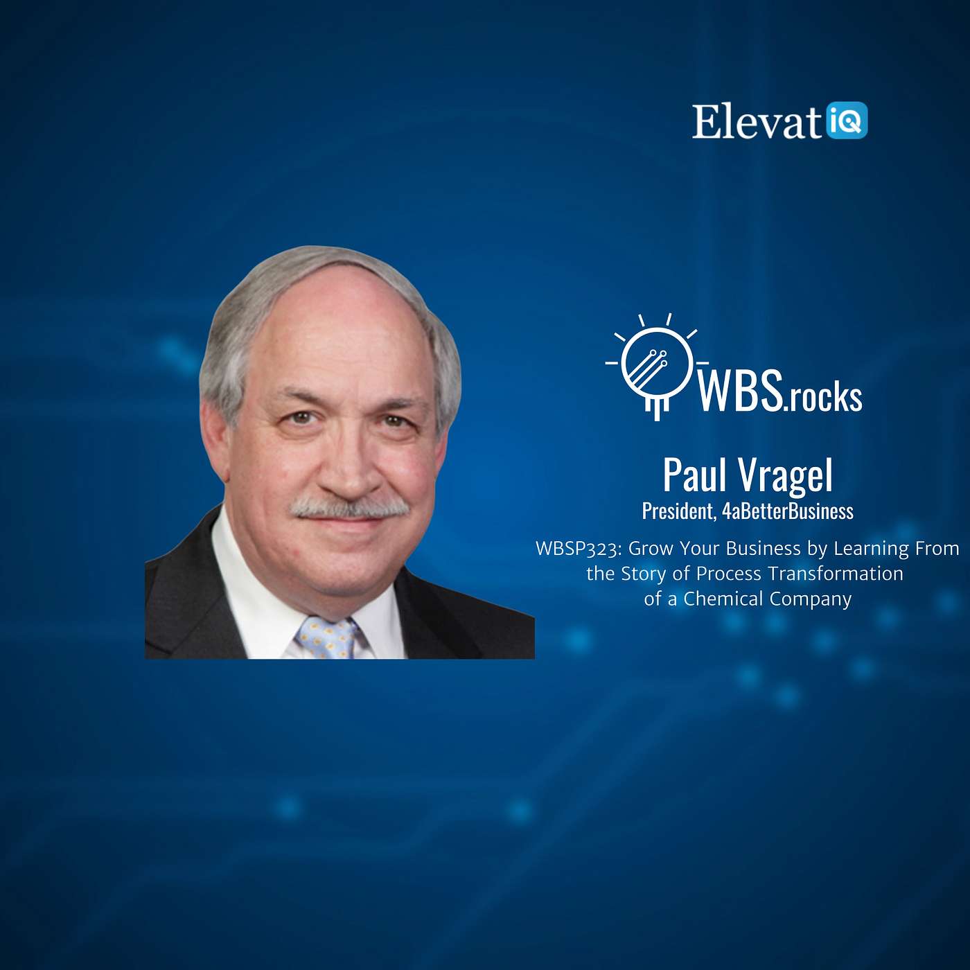 WBSP323: Grow Your Business by Learning From the Story of Process Transformation of a Chemical Company w/ Paul Vragel