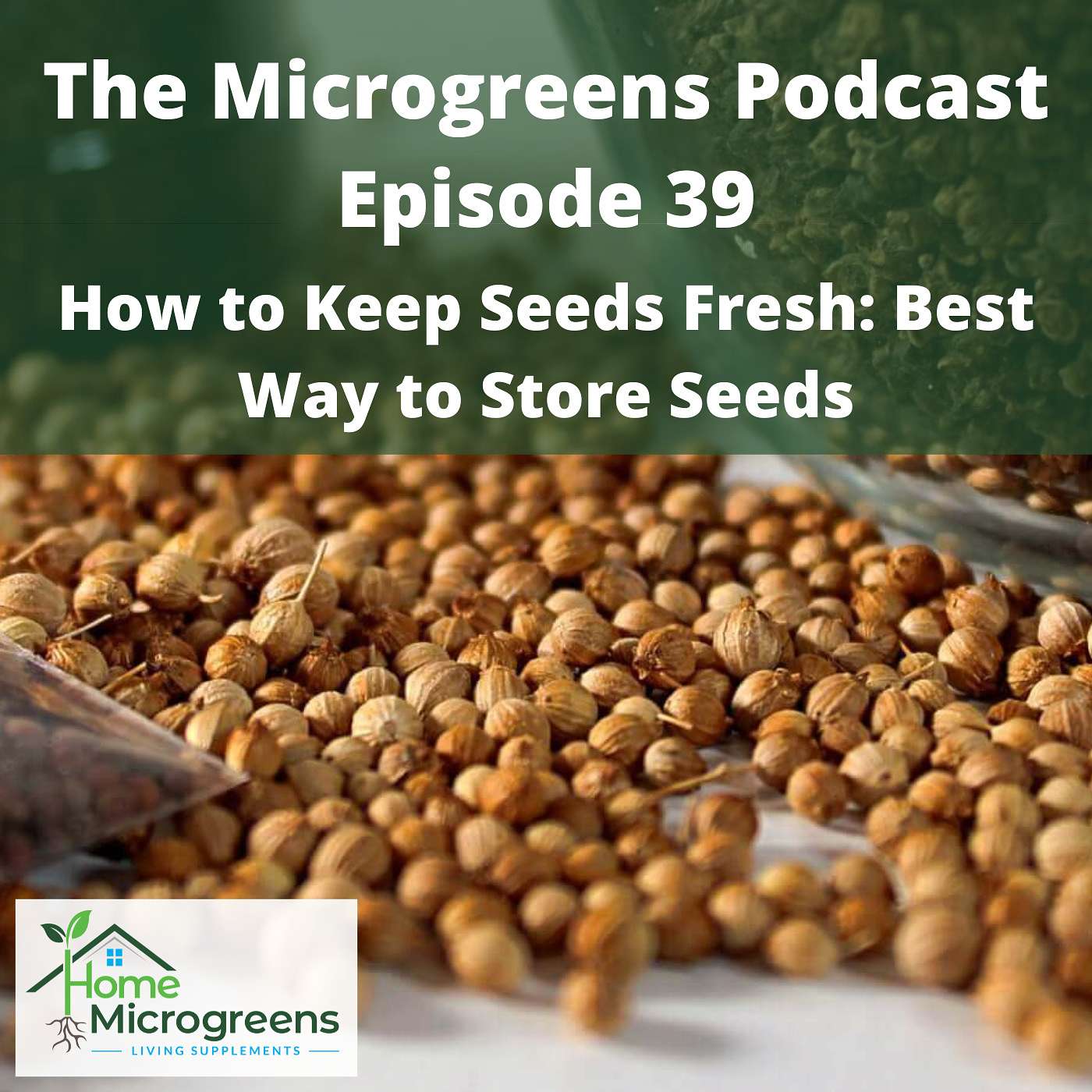 How to Keep Seeds Fresh: The Best Way to Store Seeds How to Keep Seeds Fresh: The Best Way to Store Seeds