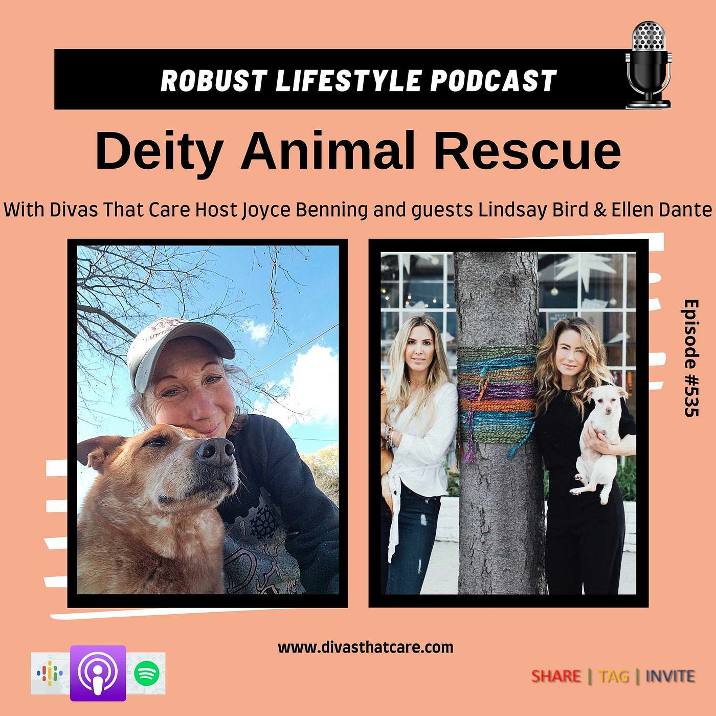 Deity Animal Rescue episode artwork