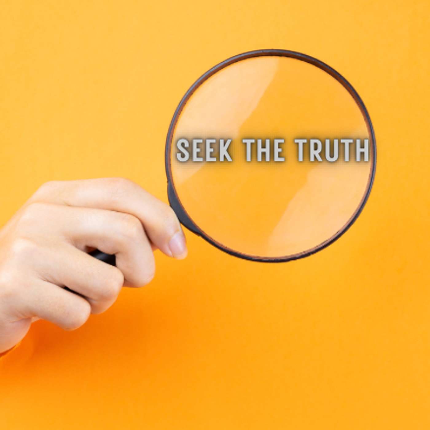 Seek The TRUTH episode artwork