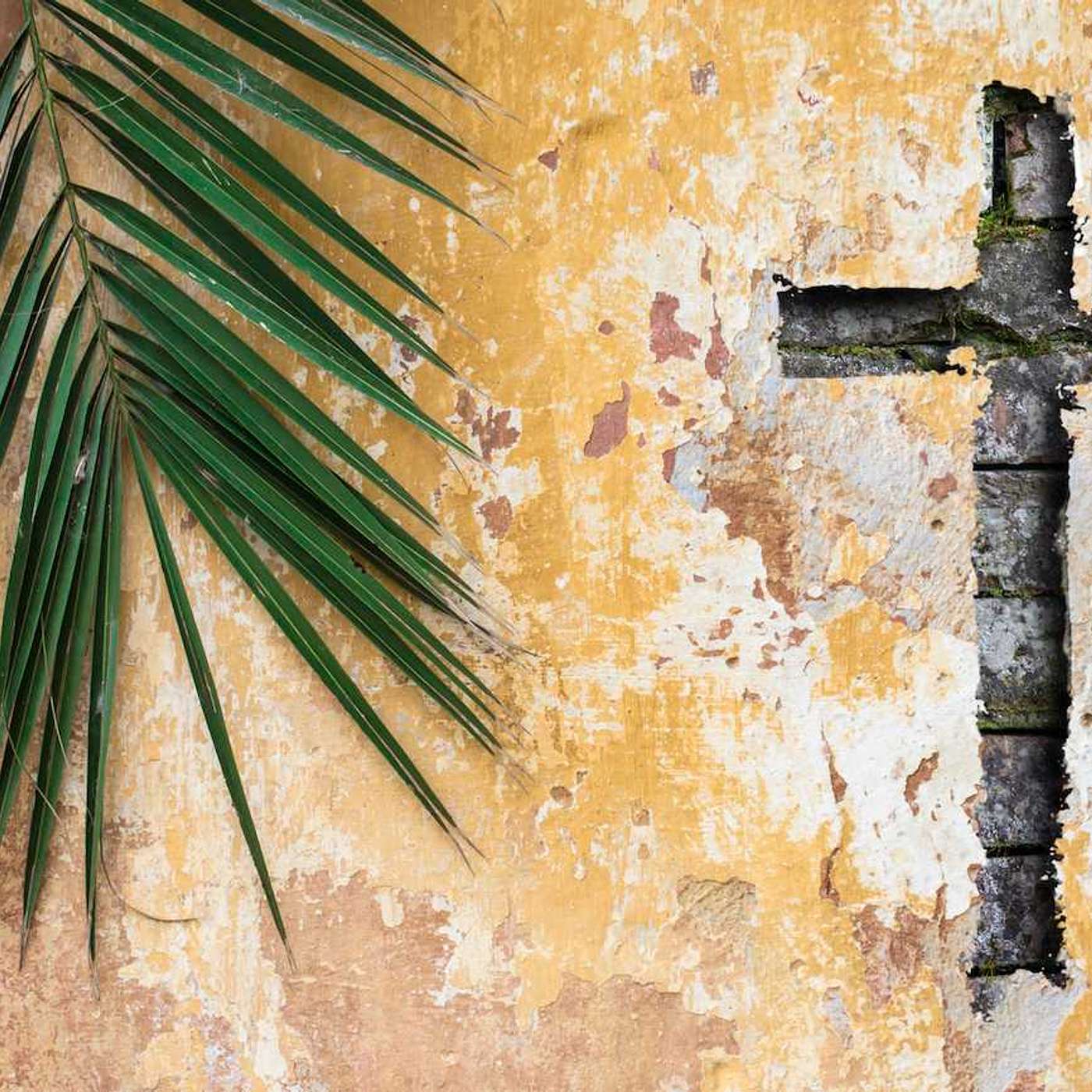 Holy Week : A Reflection - 5th April 2020 (Programme Excerpt) (S10E20b)