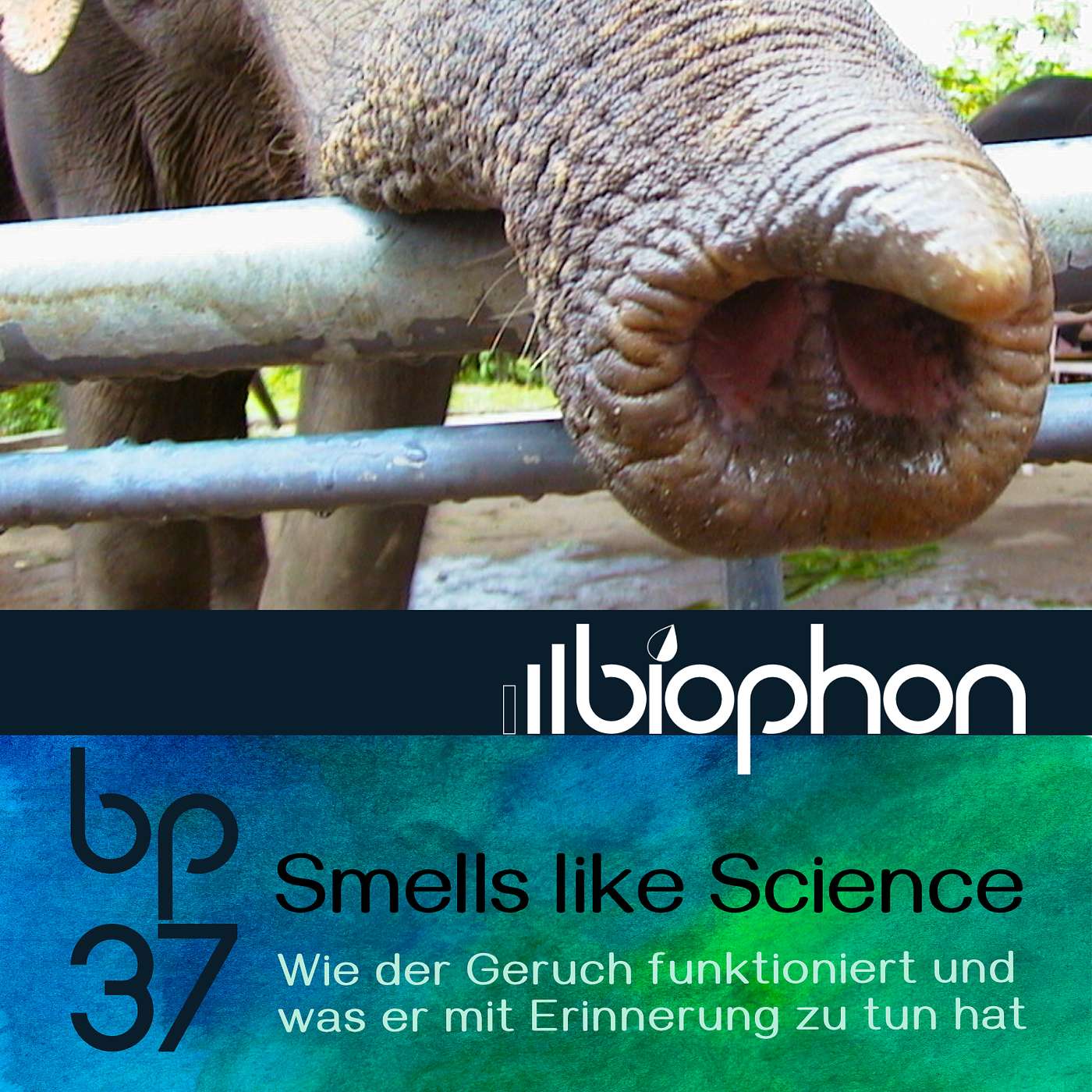 bp37: Smells like Science - Wie Geruch funktioniert und was er mit Erinnerung zu tun hat