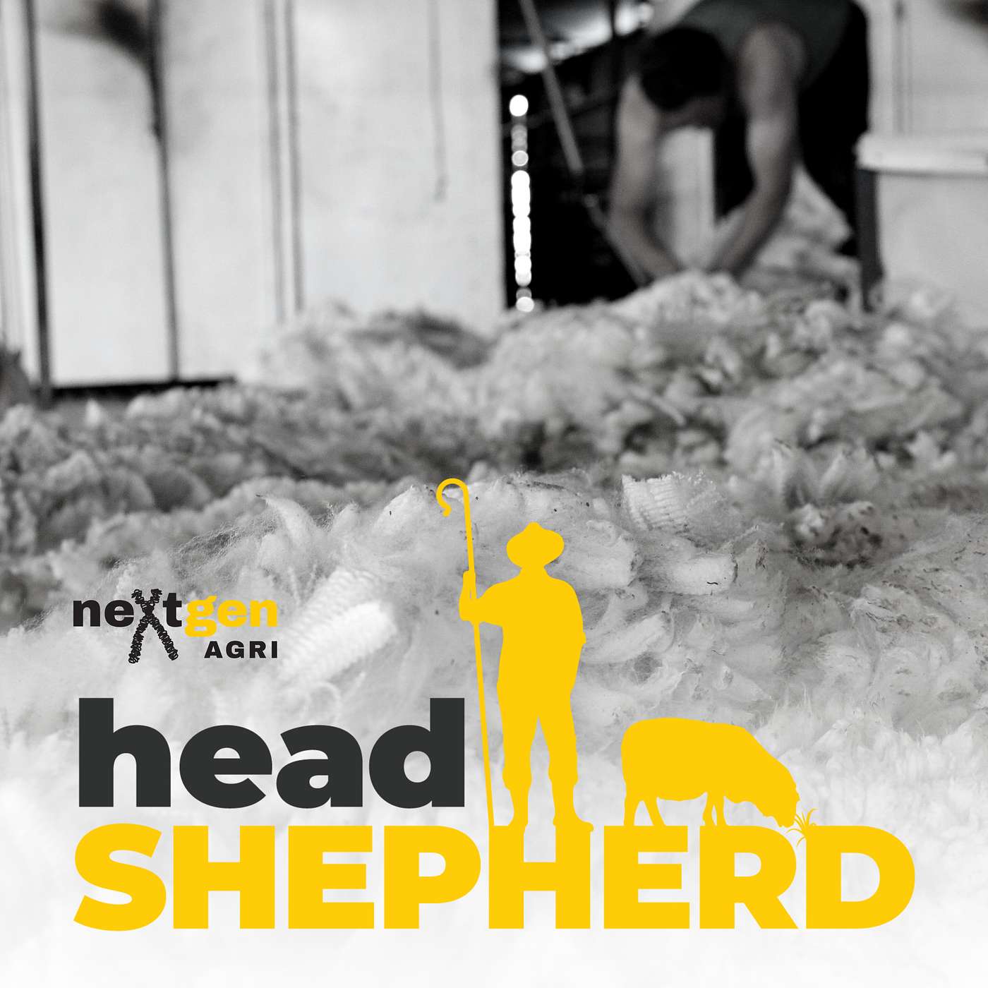 Setting Up for Shearing Success with Darren Spencer