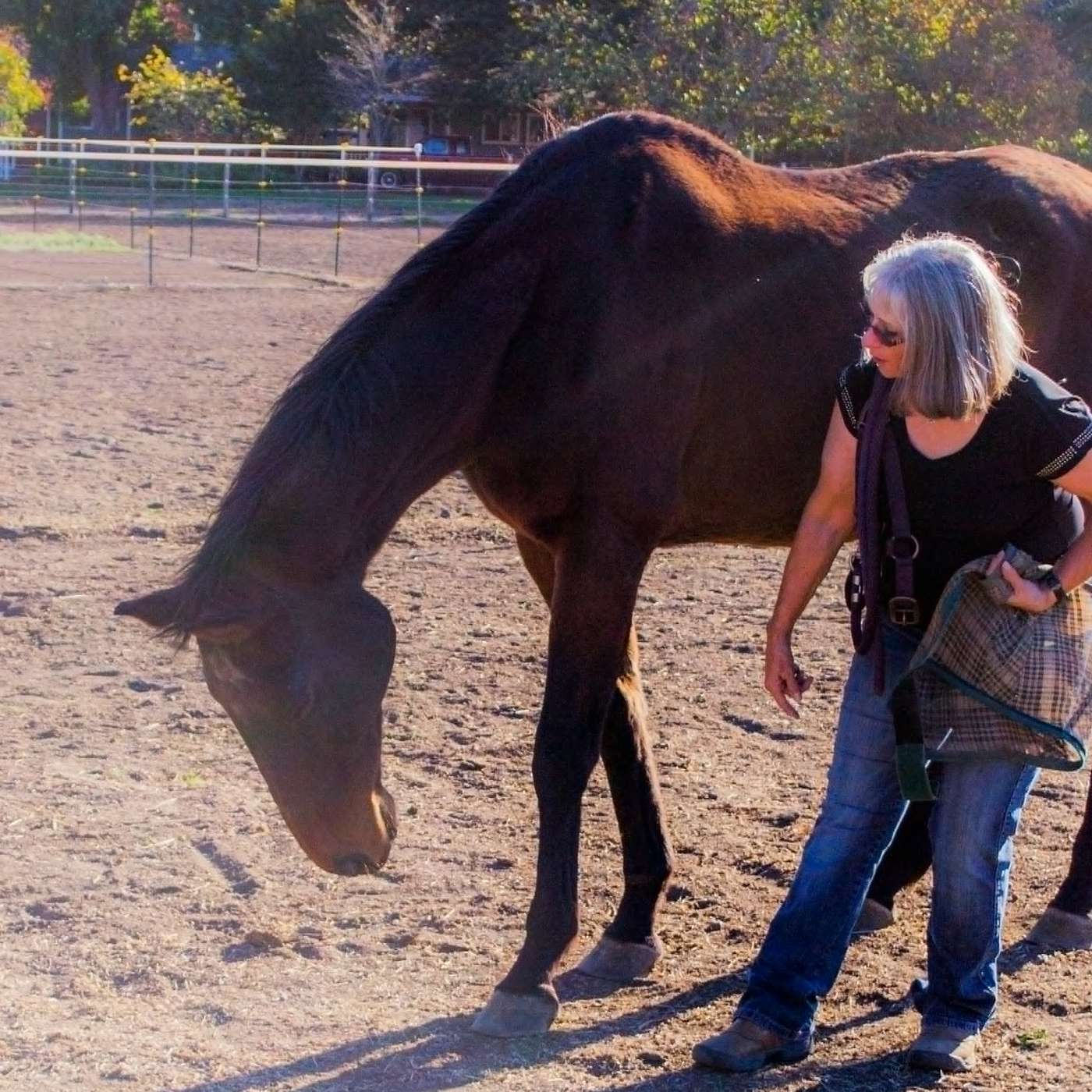 From Dangerous to Devoted: Building Trust Through the Horse-Human Relationship with Terrie Douglas episode artwork