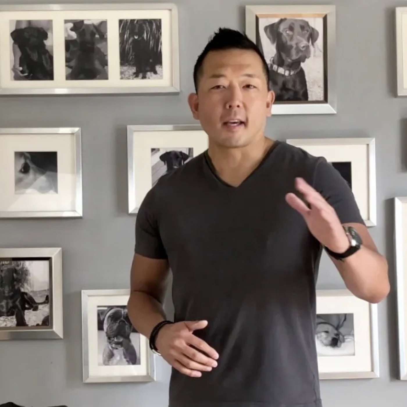 The Baroo: A Podcast for Dogs and Their People