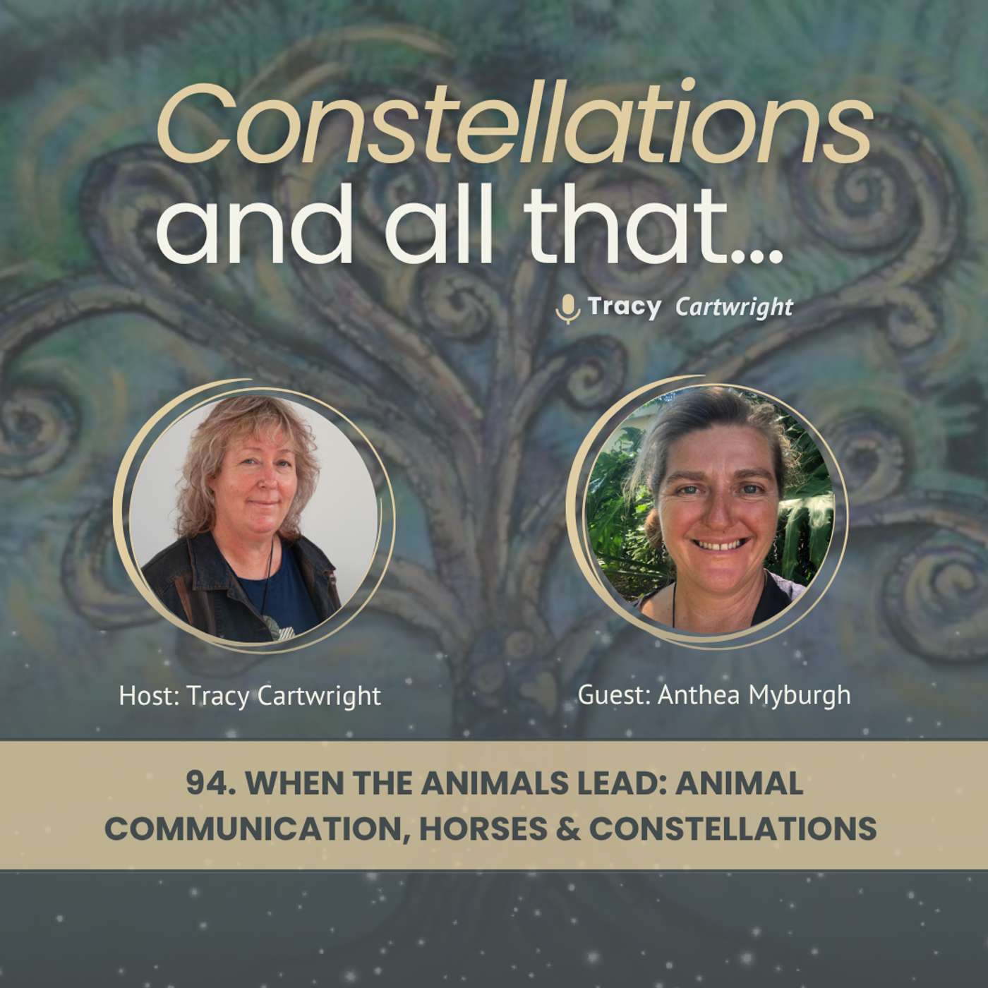 94. When the Animals Lead: Animal Communication, Horses & Constellations with Anthea Myburgh