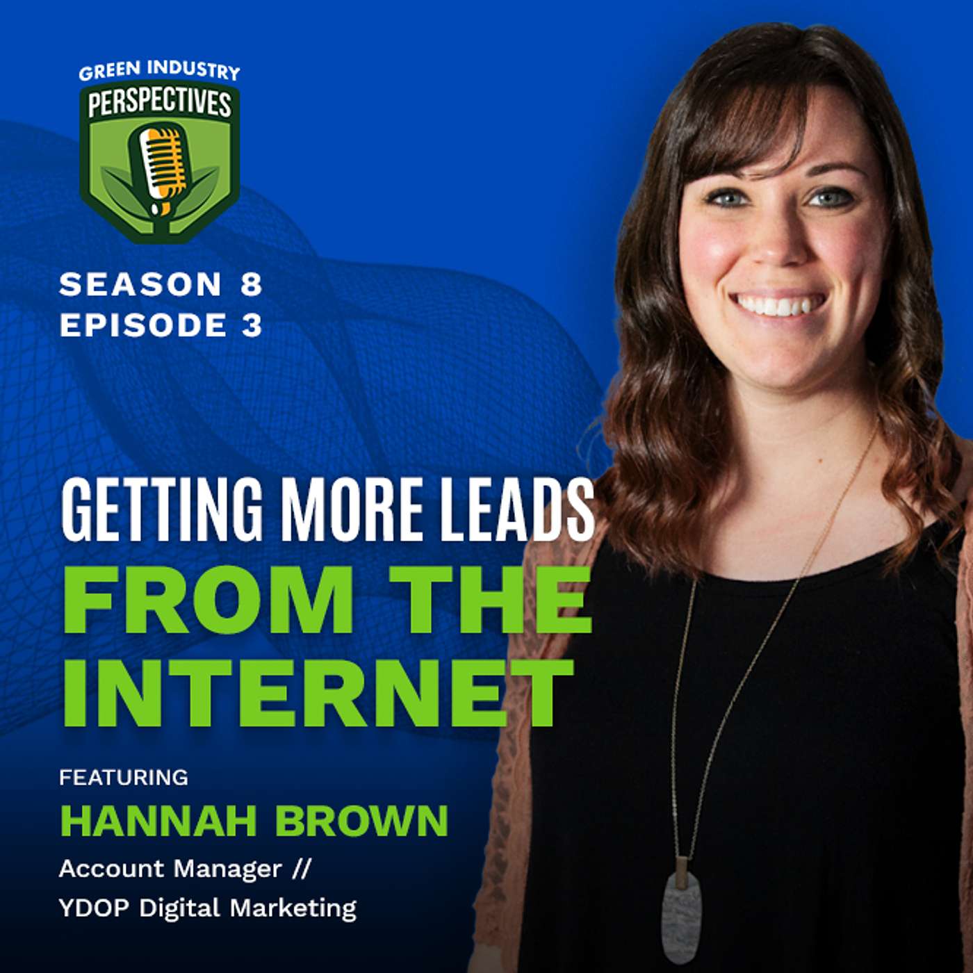 Getting More Leads From The Internet