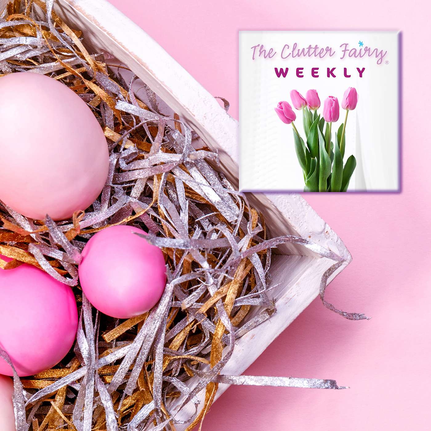 The Chicken or the Egg: Complexities of the Organizing Process - The Clutter Fairy Weekly #299