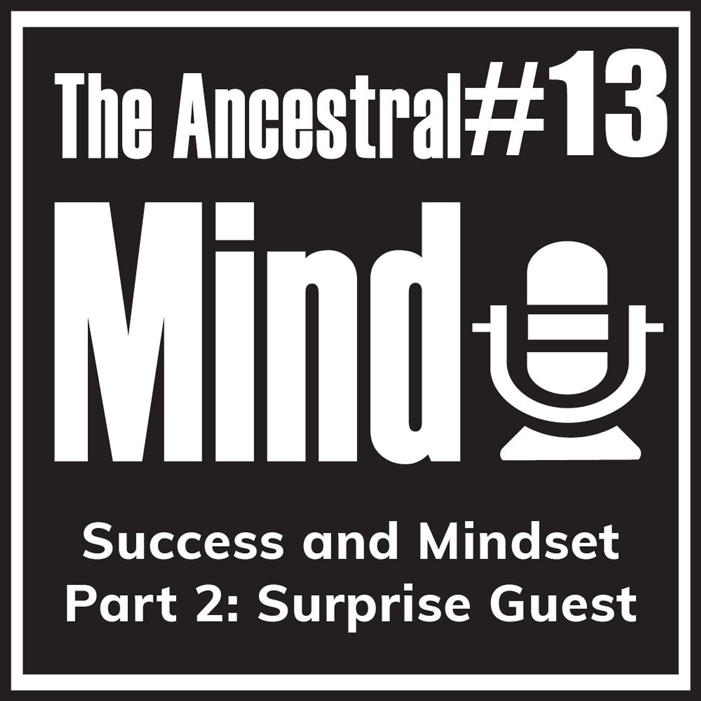 #13 – Success and Mindset Part 2