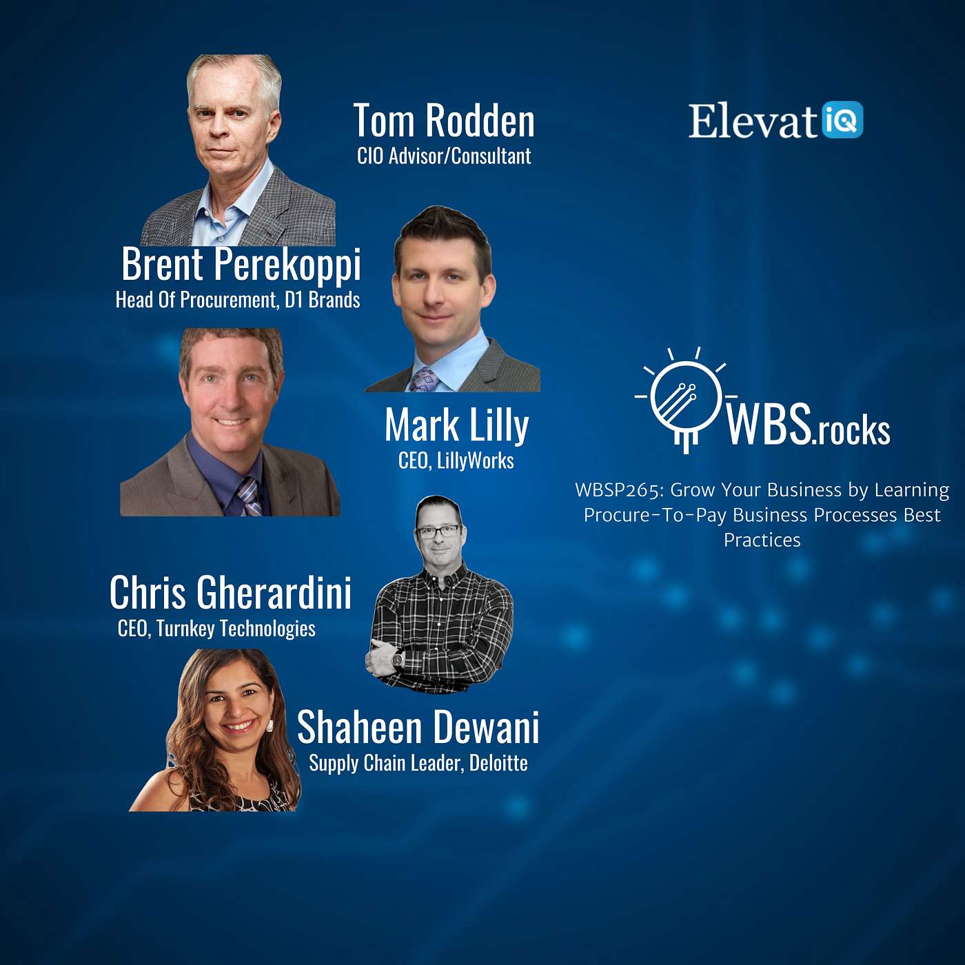 WBSP265: Grow Your Business by Learning Procure-To-Pay Business Processes Best Practices, a Live Interview w/ a Panel of Experts
