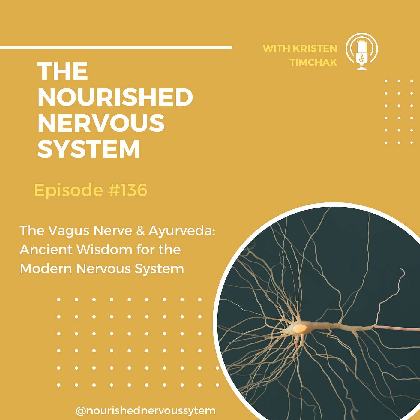 The Vagus Nerve & Ayurveda: Ancient Wisdom for the Modern Nervous System The Vagus Nerve & Ayurveda: Ancient Wisdom for the Modern Nervous System