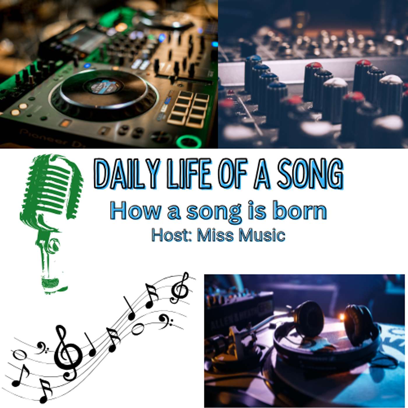 The Daily Life of a Song