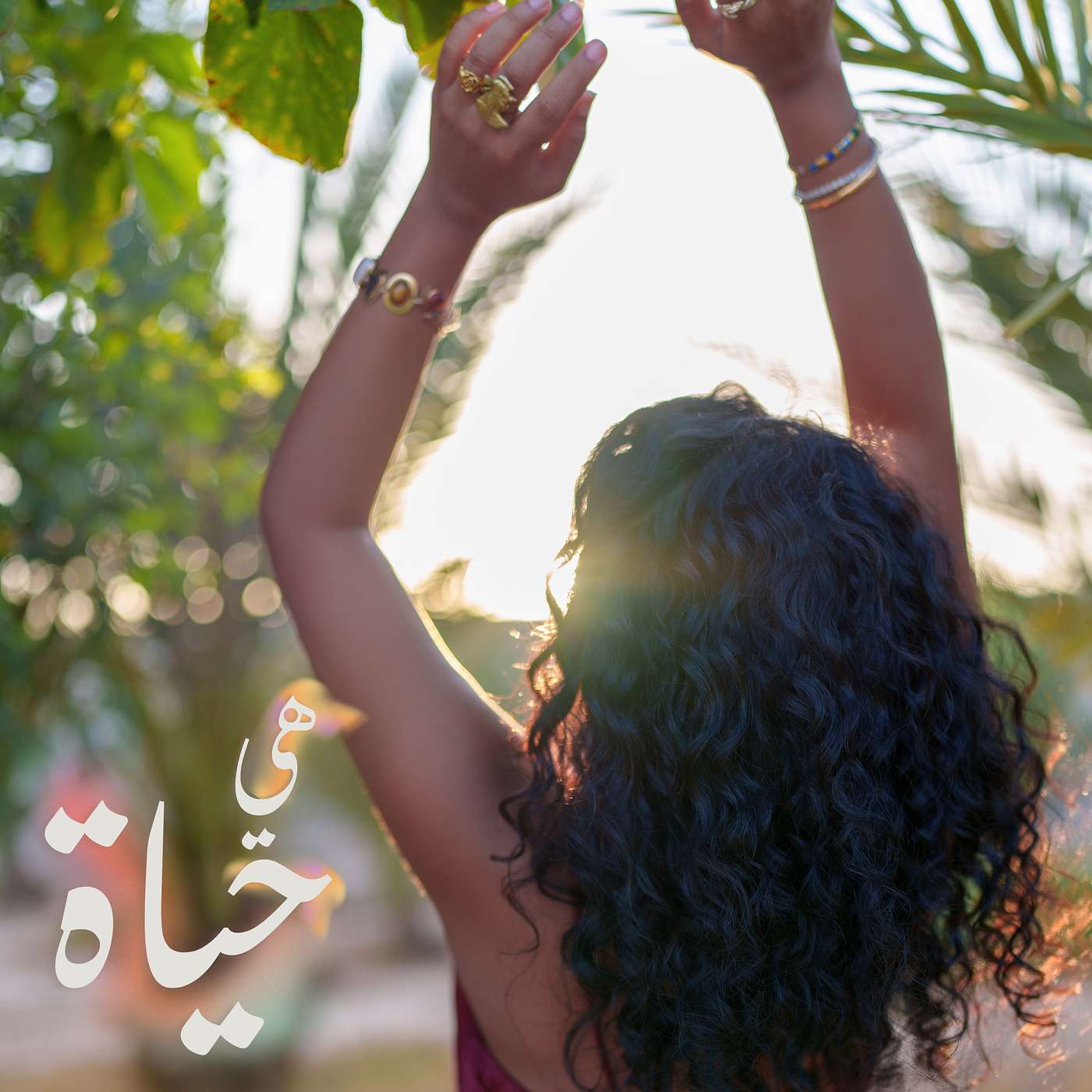 هي حياة
