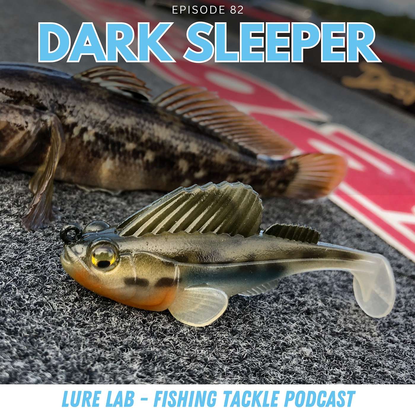 Is this a Swimbait or a Jig?!