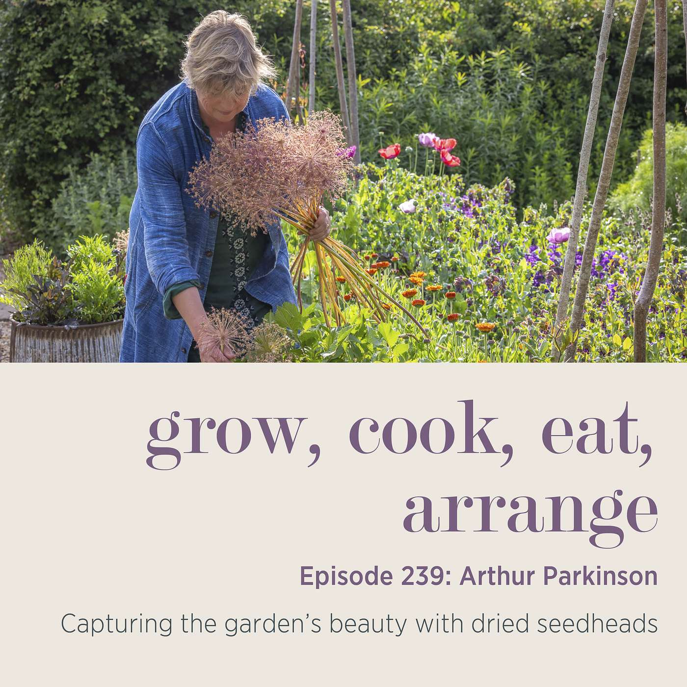 Arthur Parkinson: Capturing the garden’s beauty with dried seedheads - Episode 239