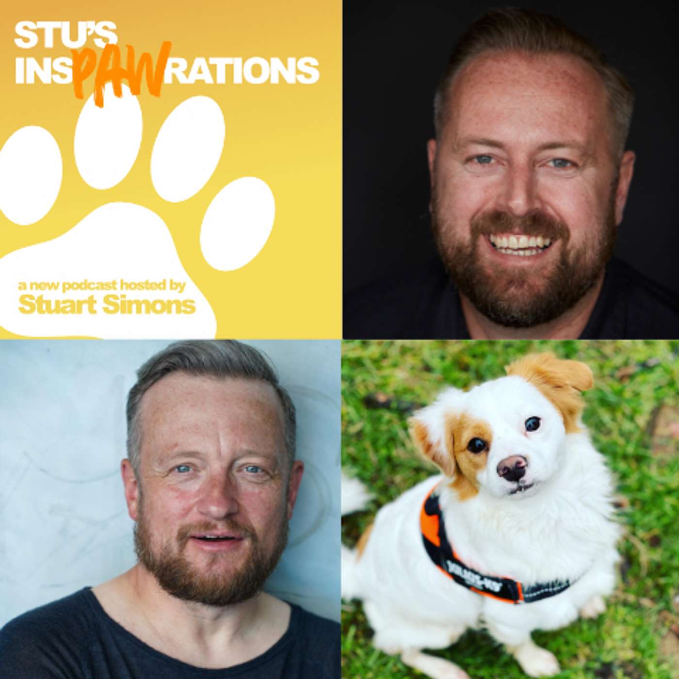 Stu\'s Inspawrations