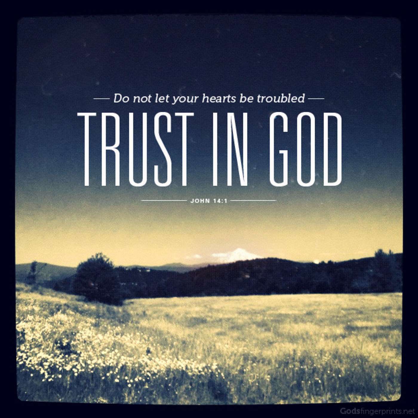 Will You Trust God?
