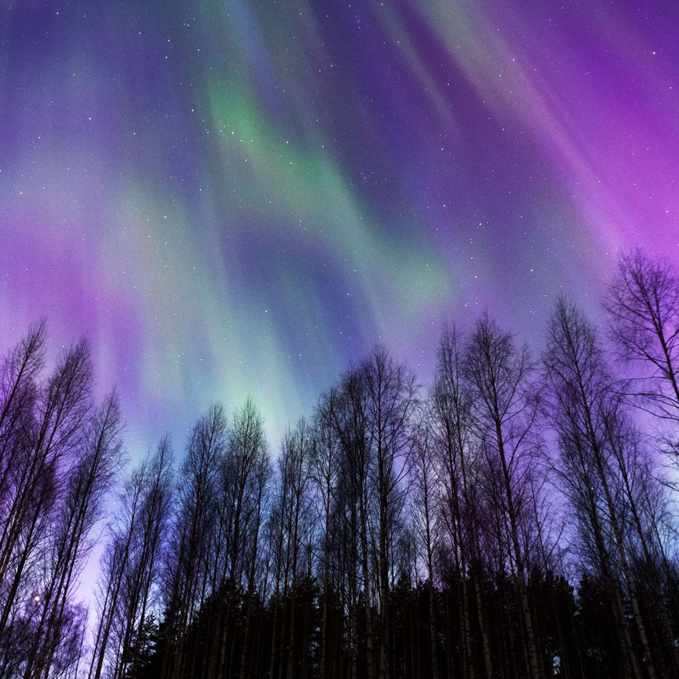 Drifting Into Rest: A Full-Body Scan for Deep Relaxation