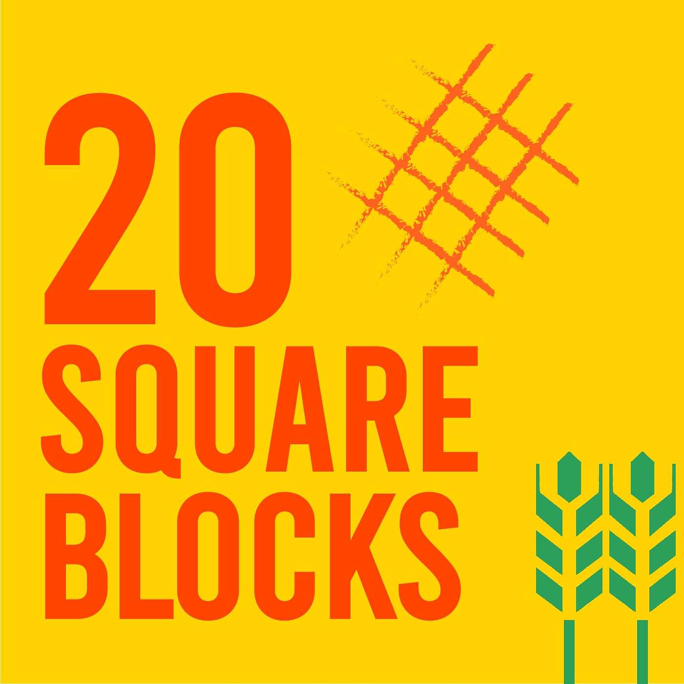 20 Square Blocks