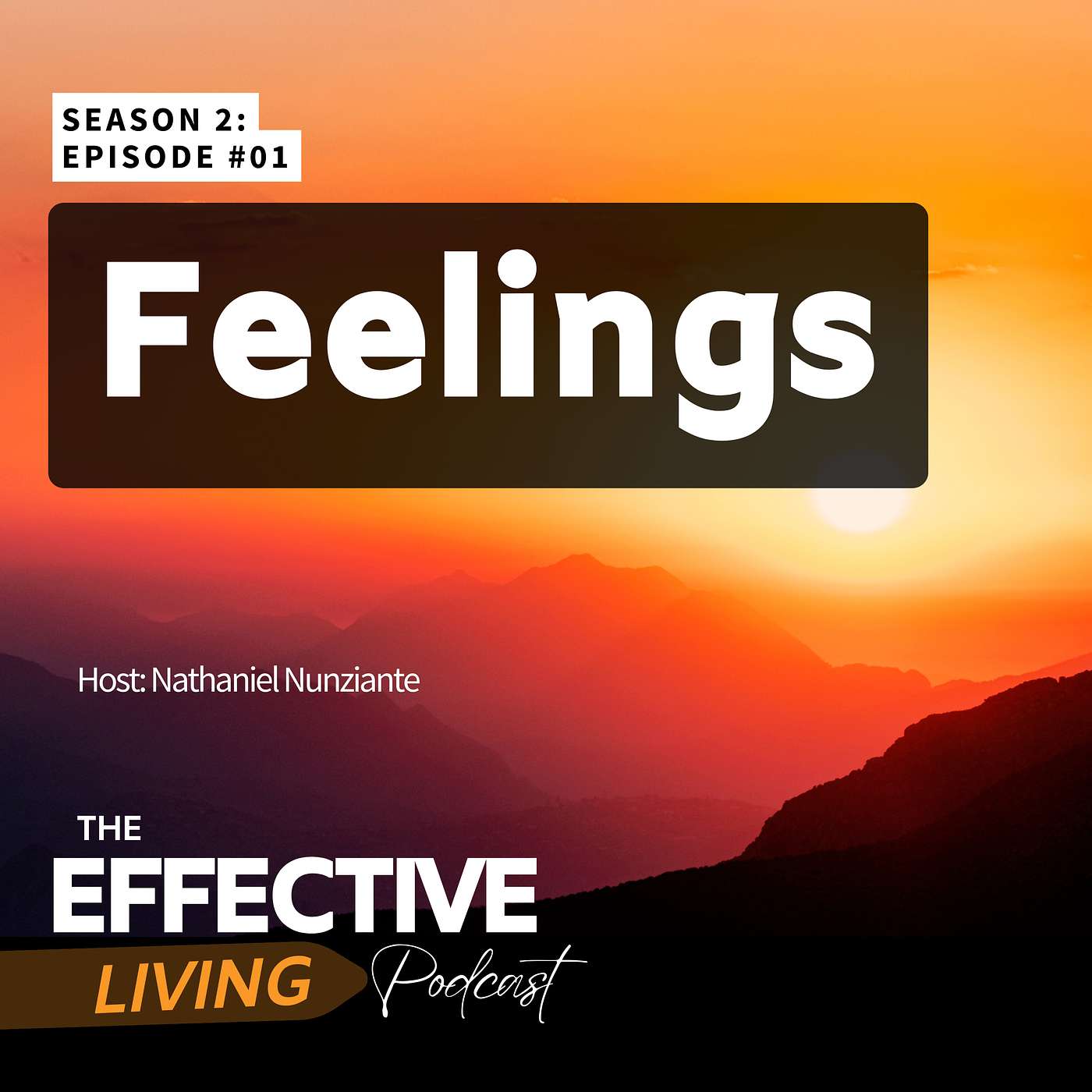 The Effective Living Podcast