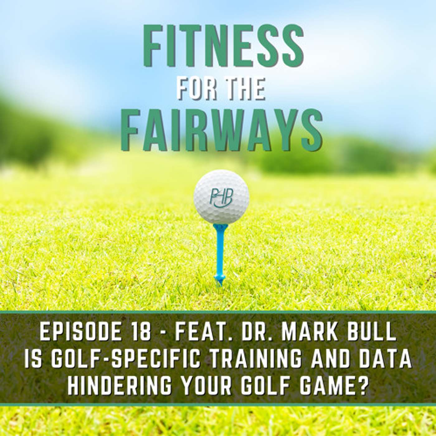 Episode 18 - Is Golf-Specific Training and Data Hindering Your Golf Game? episode artwork