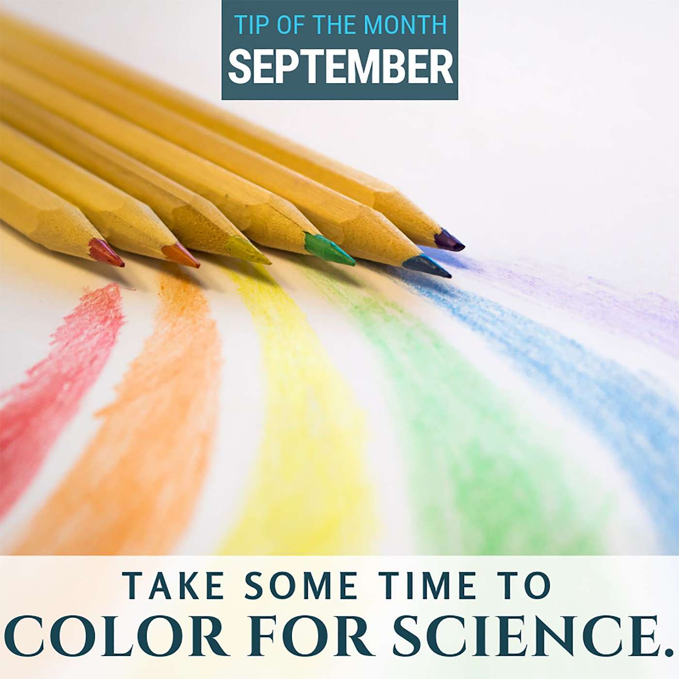 Tips for Homeschool Science Podcast from Elemental Science