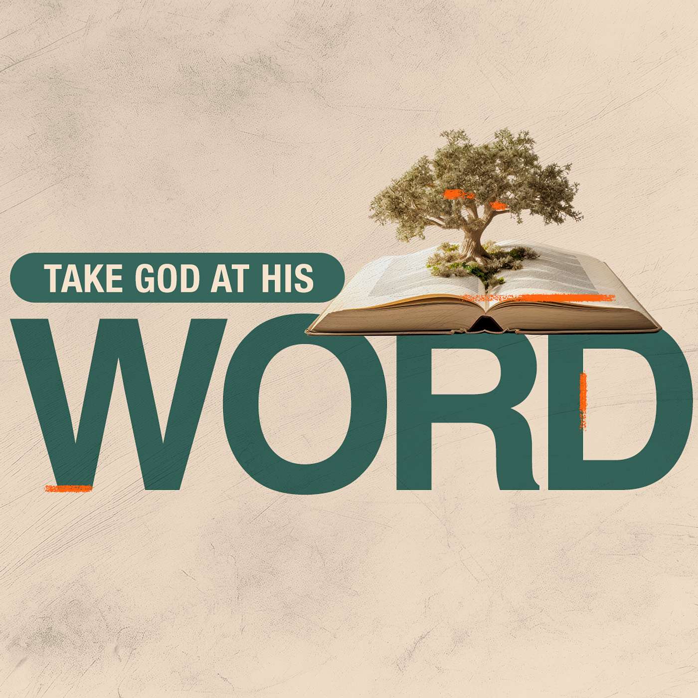 Take God at His Word - Jim Haring