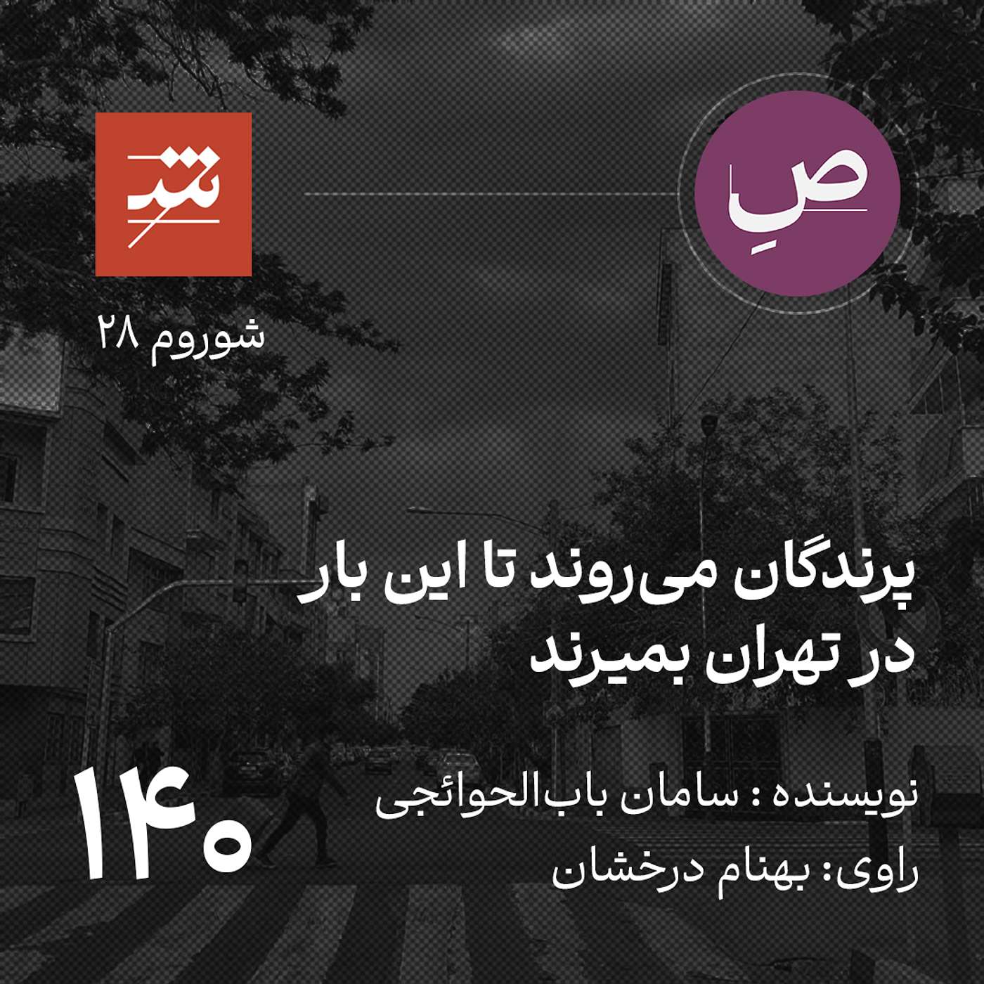 پرندگان می‌روند تا این بار در تهران بمیرند